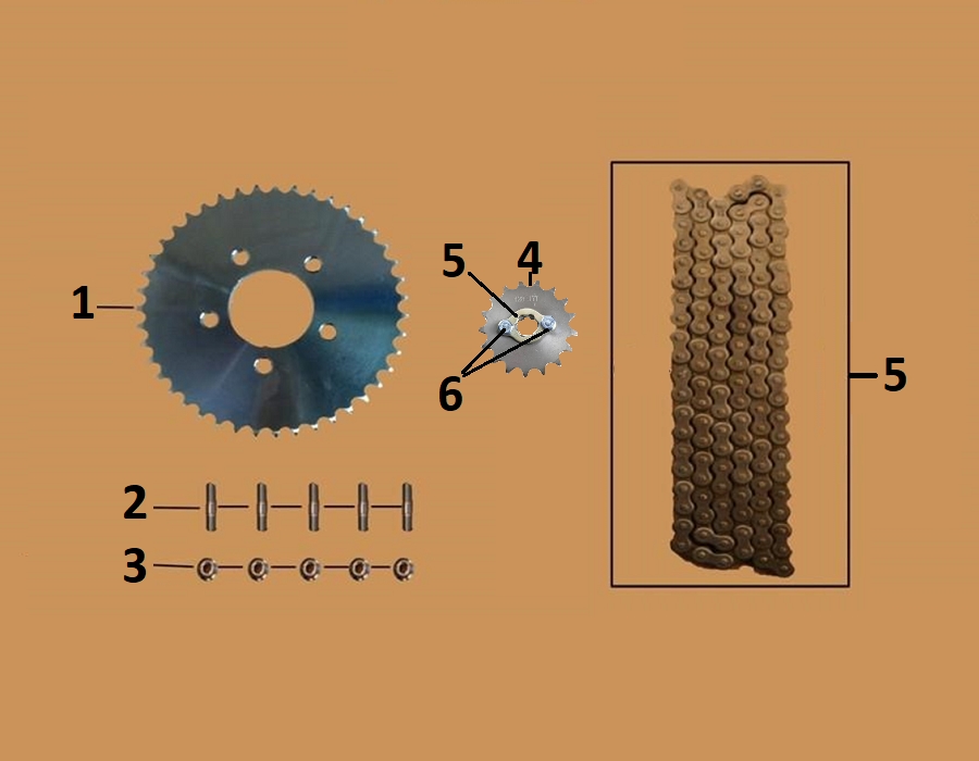 Vue Chaine - couronne de transmission